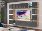 Preview: Wohnwand Maxi 255 Grau Hochglanz/Eiche Gold Craft Matt  Mediawand Medienwand Design Modern Led Beleuchtung MDF Hochglanz Hängewand Hängeschrank TV Wand Anbauwand